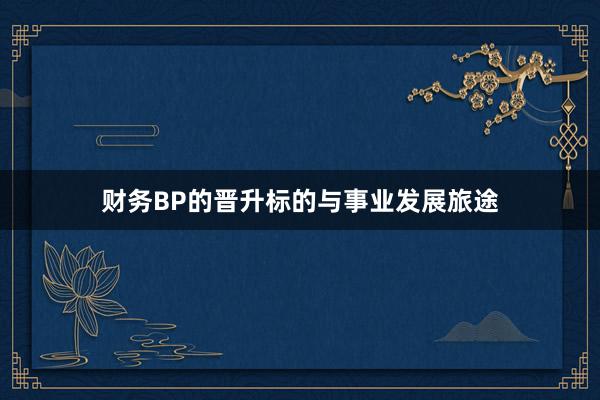 财务BP的晋升标的与事业发展旅途